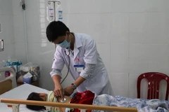 (Ảnh minh họa: Ngọc Minh/TTXVN)