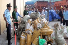 Bắt một vụ nhập lậu ngà voi ở TP.HCM. (Ảnh: Xuân Nguyên/TTXVN)