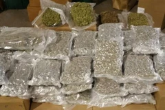 Cần sa được thu giữ tại một vụ án. Ảnh minh họa. (Nguồn: pnj.com)