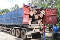Xe container vật gỗ căm xe bị thu giữ. (Ảnh: Anh Dũng/TTXVN)