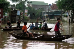 (Ảnh minh họa: Công Tường/TTXVN) 