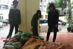 (Ảnh minh họa: PV/Vietnam+) 
