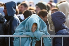 Người di cư và tị nạn tại biên giới Slovenia-Áo ngày 31/10/2015. (Nguồn: AFP/TTXVN) 