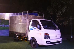 (Ảnh: Phạm Văn Xuyên/Vietnam+) 