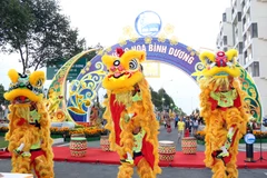 Múa lân khai mạc đường hoa Xuân. (Ảnh: Quách Lắm/Vietnam+)
