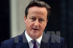 Thủ tướng Anh David Cameron. (Nguồn: AFP/TTXVN)