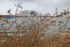 Singapore trải qua tháng khô hạn nhất kể từ năm 1869