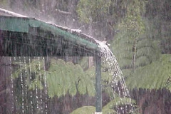 Bình Dương đón "mưa vàng" sau 4 tháng nắng gay gắt