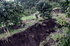 [Photo] Lại tái diễn trượt lở đất nghiêm trọng tại Di Linh