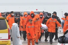 Hàn Quốc: Phát hiện các thi thể đầu tiên trong phà SEWOL