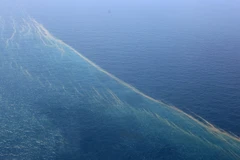 Không có vệt dầu loang nghi của máy bay mất tích