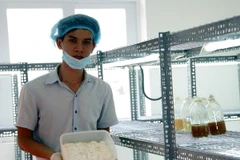 Chàng trai 9X bán vé số dạo trồng thành công đông trùng hạ thảo