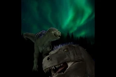 Khủng long Tyrannosaurus rex có "anh em họ" bé nhỏ