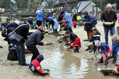 [Photo] Du khách tự tay đào vàng và cảm nhận sự nguy hiểm