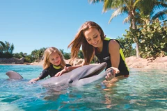 Discovery Cove là công viên chủ đề ưa thích nhất thế giới