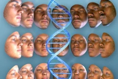 DNA có thể giúp phác thảo gương mặt của nghi phạm