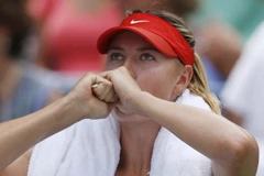 Maria Sharapova ngậm ngùi dừng bước sau "cuộc chiến sắc đẹp"
