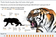 Đồ họa về tình trạng buôn lậu hổ trên toàn thế giới