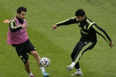 Tiền đạo Diego Costa bị cổ động viên Brazil khủng bố