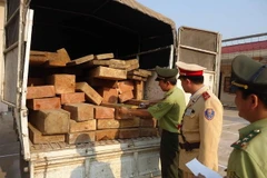 Quảng Bình bắt vụ chuyển lượng lớn gỗ không nguồn gốc
