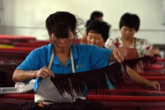 Trung Quốc trở thành nhà xuất khẩu tóc hàng đầu trên thế giới
