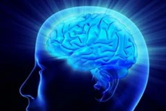 Gen mang yếu tố quyết định khả năng ghi nhớ của con người