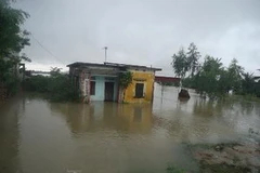 Nhiều nhà dân bị ngập trong nước sau bão. (Ảnh: Đức Phương/TTXVN)