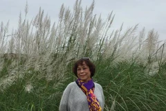 “Tị nạn chiều” - Một chân dung khác về Nguyễn Thị Minh Thái 