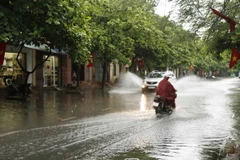 (Ảnh minh họa: Thùy Dung/TTXVN)