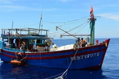 (Ảnh minh họa: Xuân Nguyên/TTXVN phát)