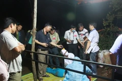 Lực lượng chức năng đang khám nghiệm hiện trường. (Ảnh: Nguyễn Hoài Nam/TTXVN)