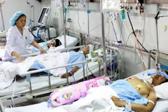 (Ảnh minh họa: Dương Ngọc/TTXVN)