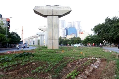 Dải phân cách của công trình được người dân tranh thủ trồng rau, tập kết vật liệu xây dựng. (Ảnh: Doãn Đức/Vietnam+)