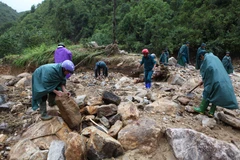 Ảnh chỉ có tính minh họa. (Ảnh: Quý Trung/TTXVN)