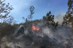 Hiện trường vụ cháy. (Ảnh: Nguyễn Oanh/TTXVN)