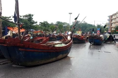 Hàng trăm bè, mảng được ngư dân kéo lên phố tránh bão. (Ảnh: Khiếu Tư/TTXVN)