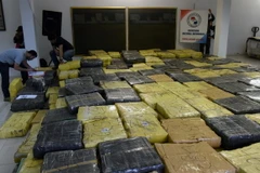Cảnh sát Paraguay trưng bày số cần sa thu giữ trong các chiến dịch truy quét tội phạm ma túy ở Guayaibi. (Nguồn: AFP/TTXVN)