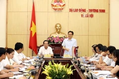 Phó Thủ tướng Chính phủ Vũ Đức Đam phát biểu tại buổi làm việc. (Ảnh: Anh Tuấn/TTXVN)