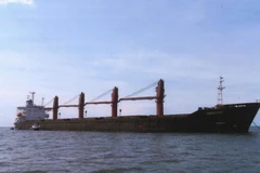 Tàu Wise Honest của Triều Tiên. (Nguồn: nknews)