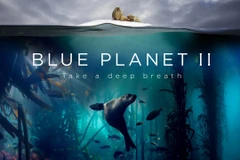 Loạt phim 'Blue Planet II' nhận giải thưởng. (Nguồn: Amazon.com)