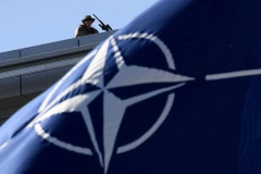 (Nguồn: bloomberg)