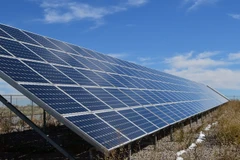 Ảnh minh họa. (Nguồn: buckley)