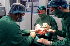 Ca nối liền bàn tay đứt rời cho bệnh nhân bằng kỹ thuật vi phẫu tại Bệnh viện Việt Tiệp Hải Phòng ngày 25/11. (Ảnh: TTXVN phát)