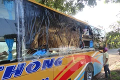 Hình chỉ mang tính minh họa. (Nguồn: TTXVN)