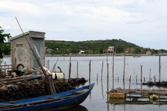 Không chỉ xây nhà ở trái phép mà người dân còn xây dựng nhà vệ sinh trong đầm gây ô nhiễm môi trường. (Ảnh: Thế Lập/TTXVN)