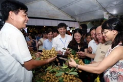 Khách tham quan các gian hàng trưng bày Nhãn lồng Hưng Yên. (Ảnh: Phạm Kiên/TTXVN)