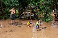 (Ảnh minh họa: Trung Nguyên/TTXVN)