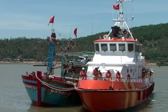 (Ảnh minh họa: Tá Chuyên/TTXVN)