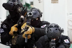 Ảnh minh họa. (Nguồn: Yonhap/TTXVN)