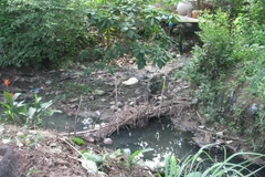 (Ảnh minh họa: Minh Trí/TTXVN)